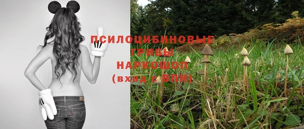 хмурый Ростов
