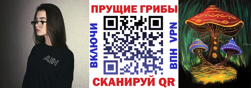 где купить наркотик  Сухиничи  Галлюциногенные грибы мицелий 